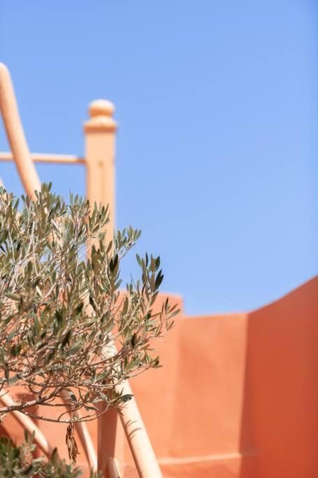 Riad Le Petit Bacha Marraquexe Exterior foto